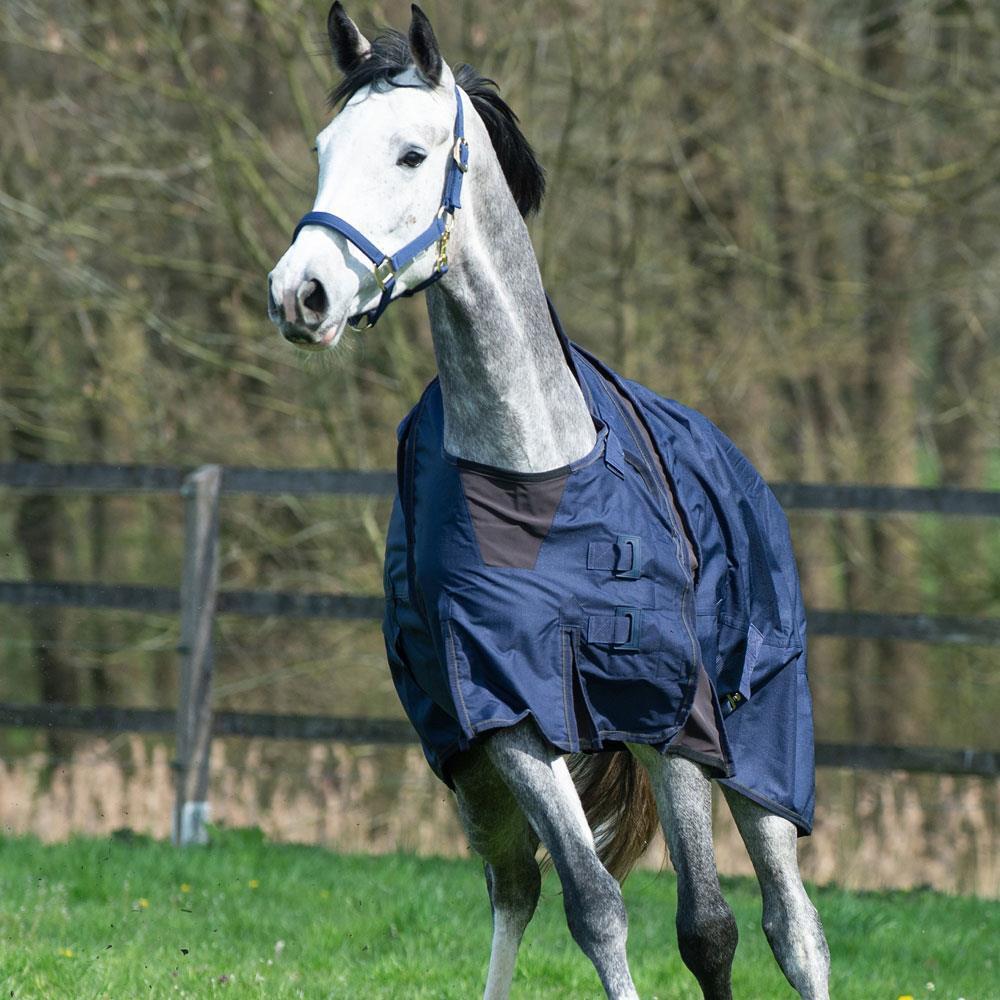 EQuest Nova Scotia fleece-lined horse blanket