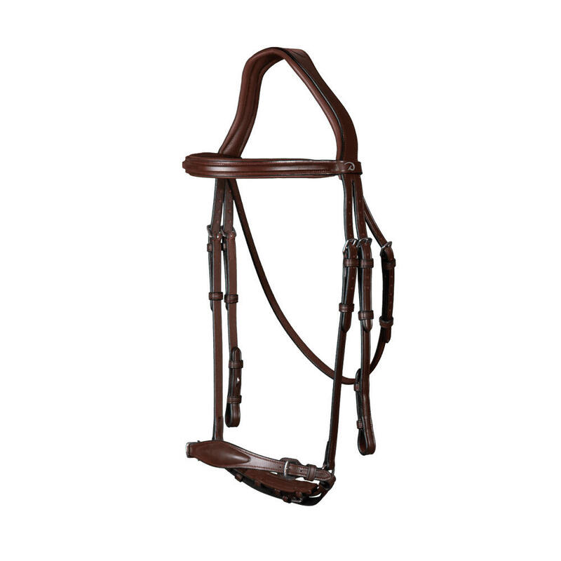 Bridon équitation anatomique muserolle adjustable Dyon