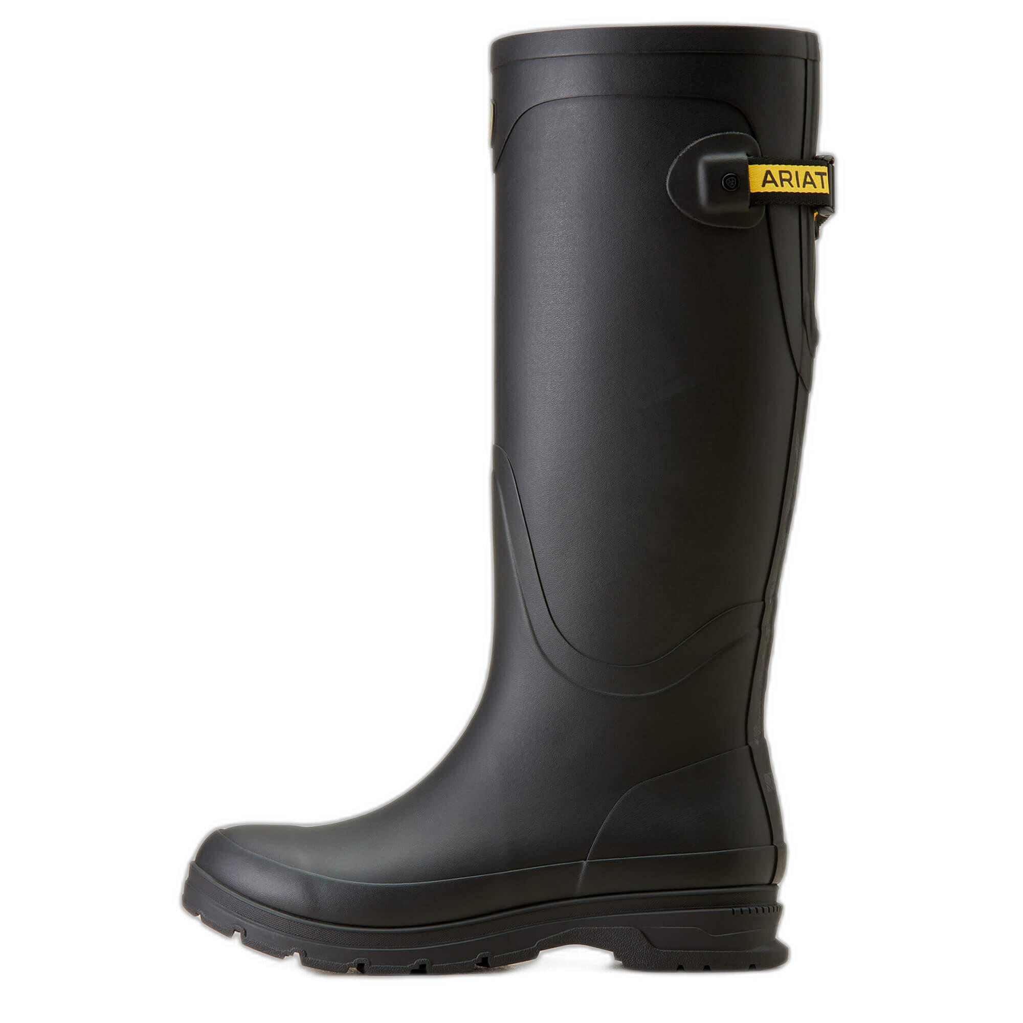 ARIAT picture