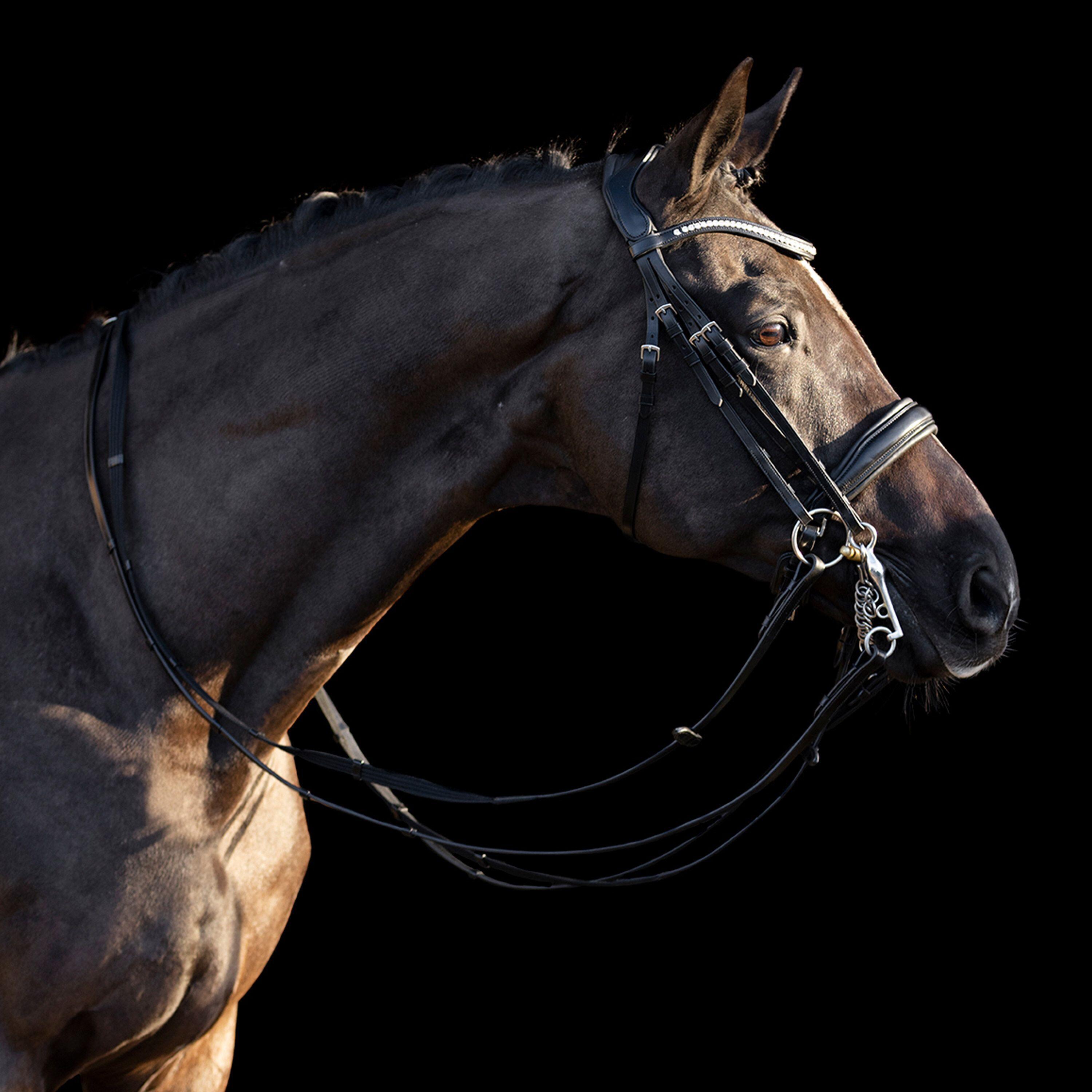 Briglie da equitazione HV Polo Legacy deluxe 3/3