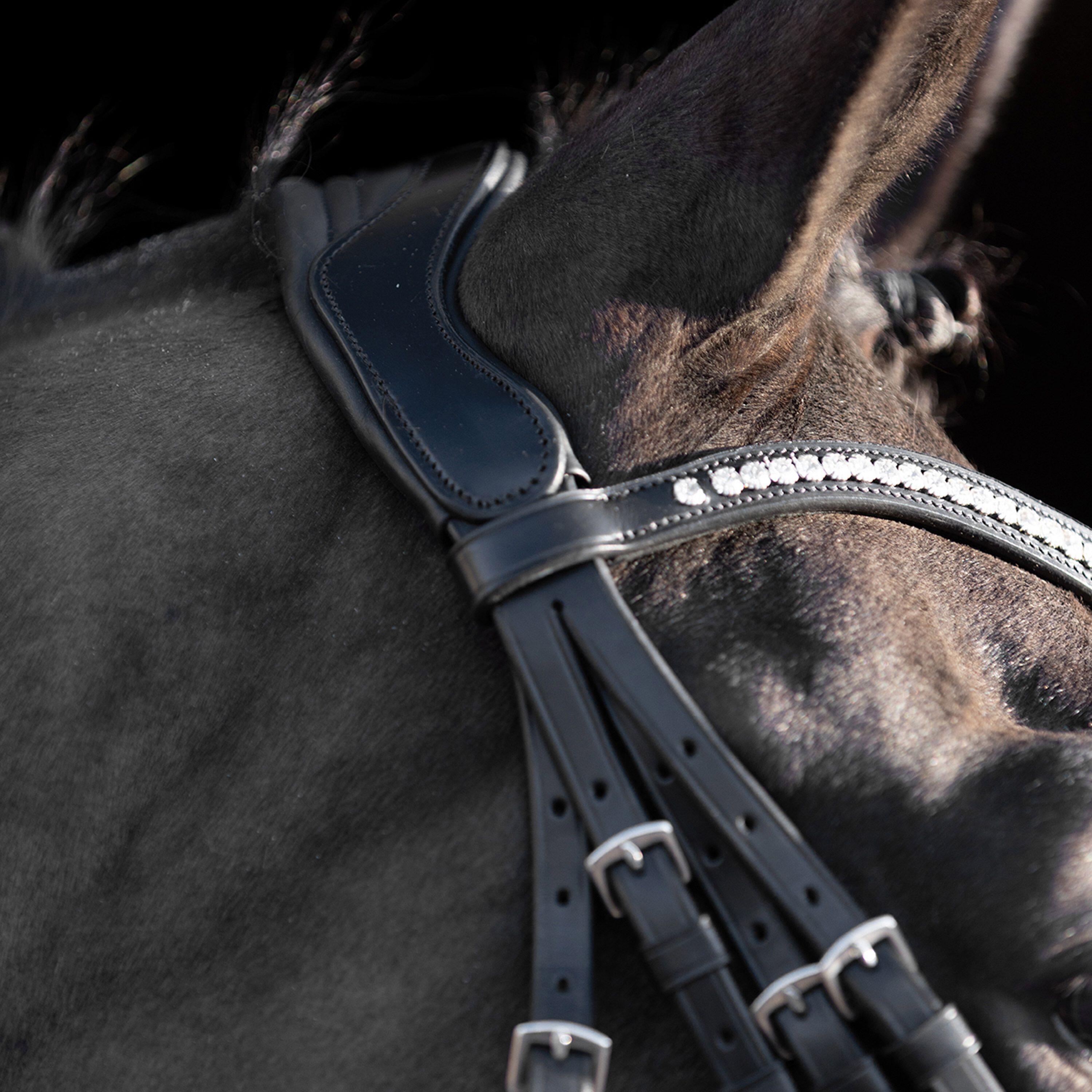 Briglie da equitazione HV Polo Legacy deluxe 2/3