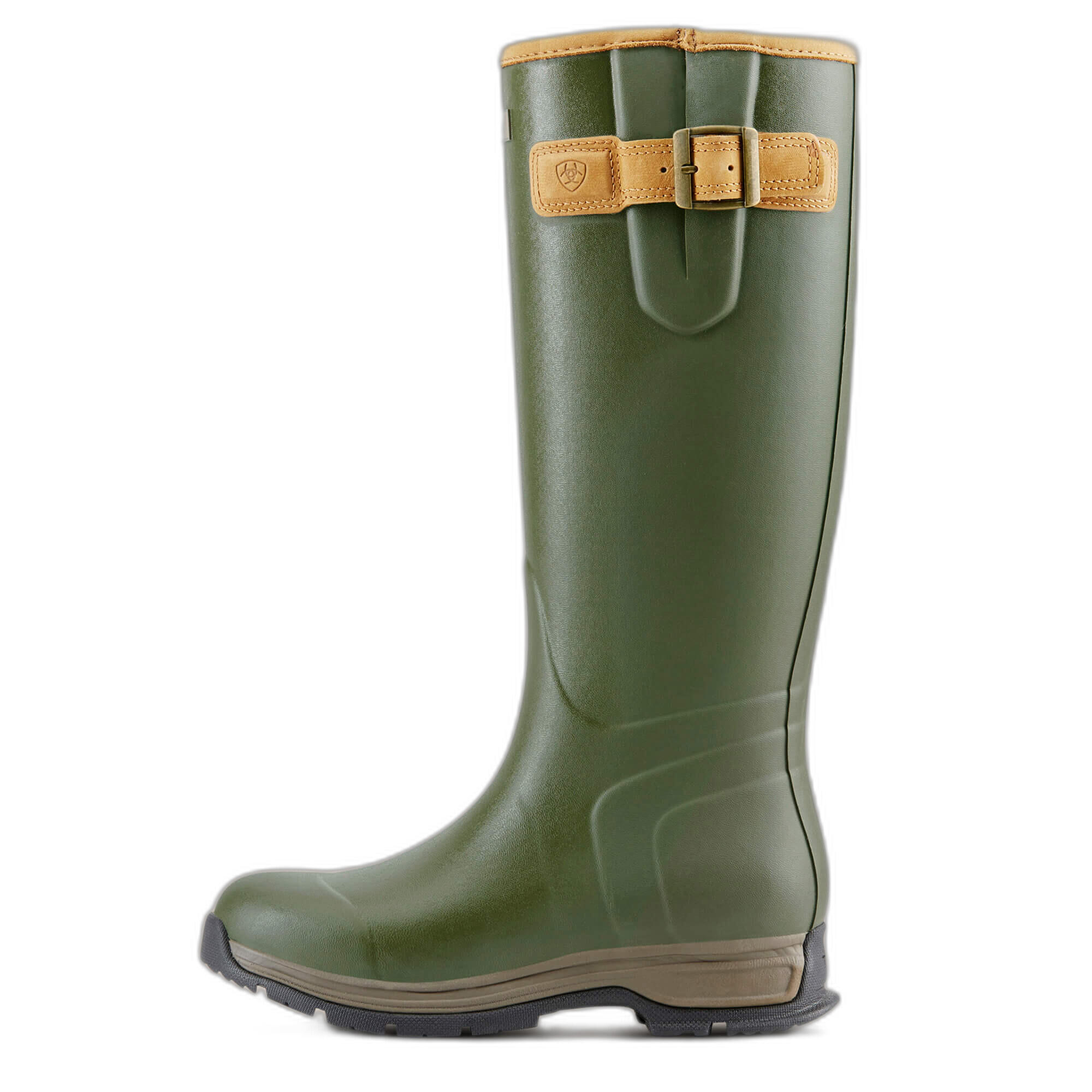 ARIAT picture