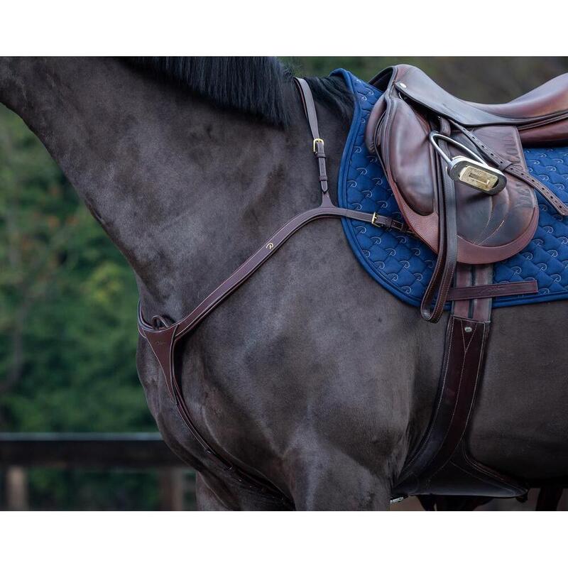 Collier de chasse à pont long pour cheval Dyon