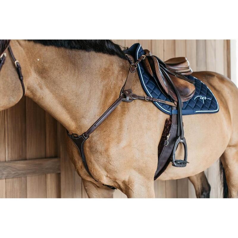 Collier de chasse 5 points avec élastique pour cheval Dyon