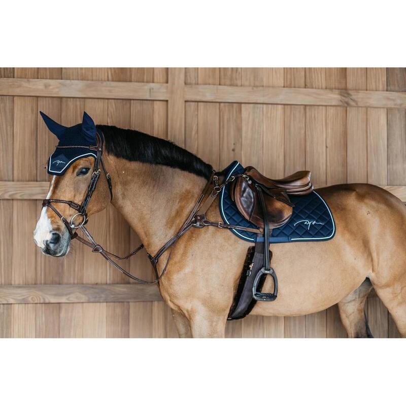 Collier de chasse 5 points avec élastique pour cheval Dyon