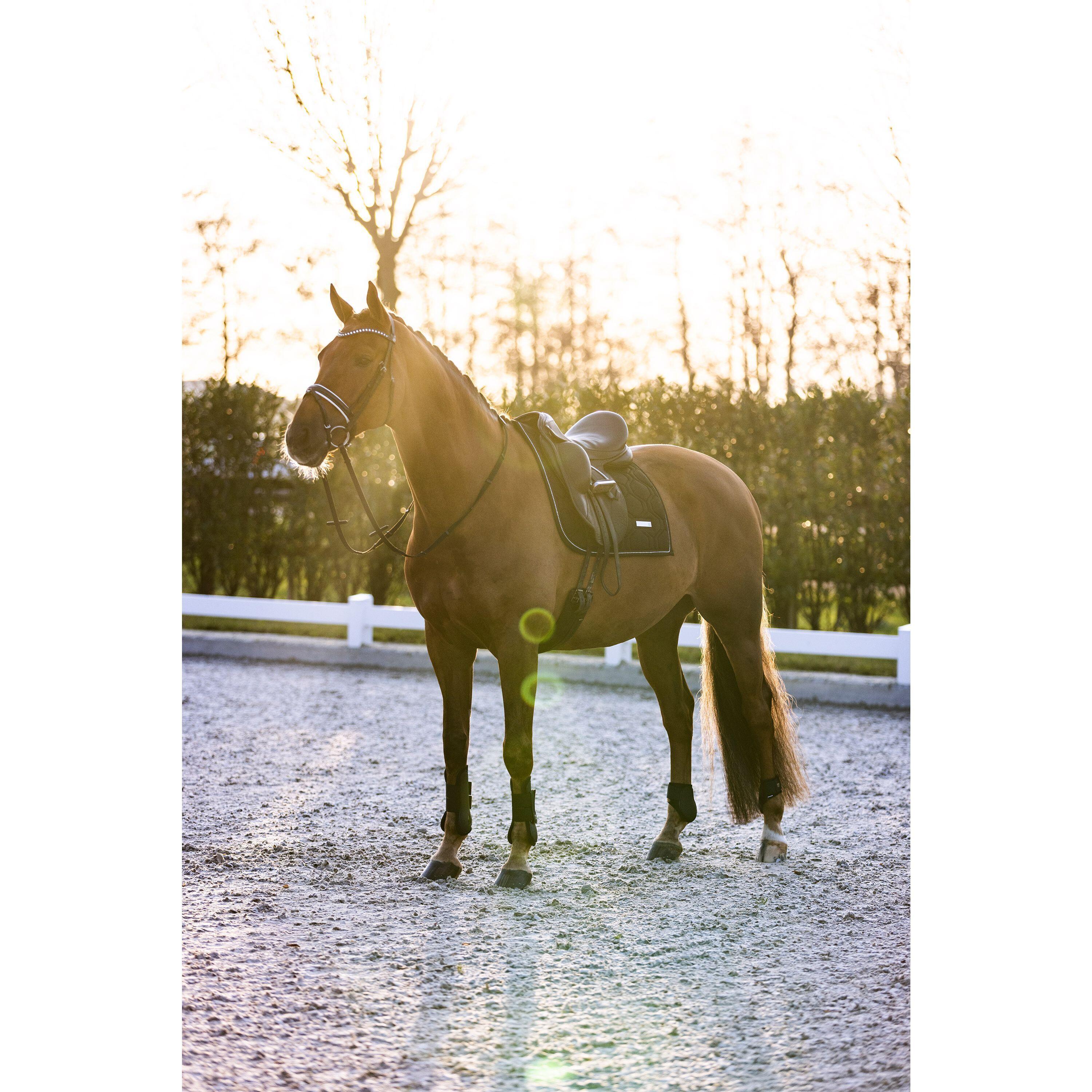 Flettenti di cavallo Imperial Riding Lovely 3/3