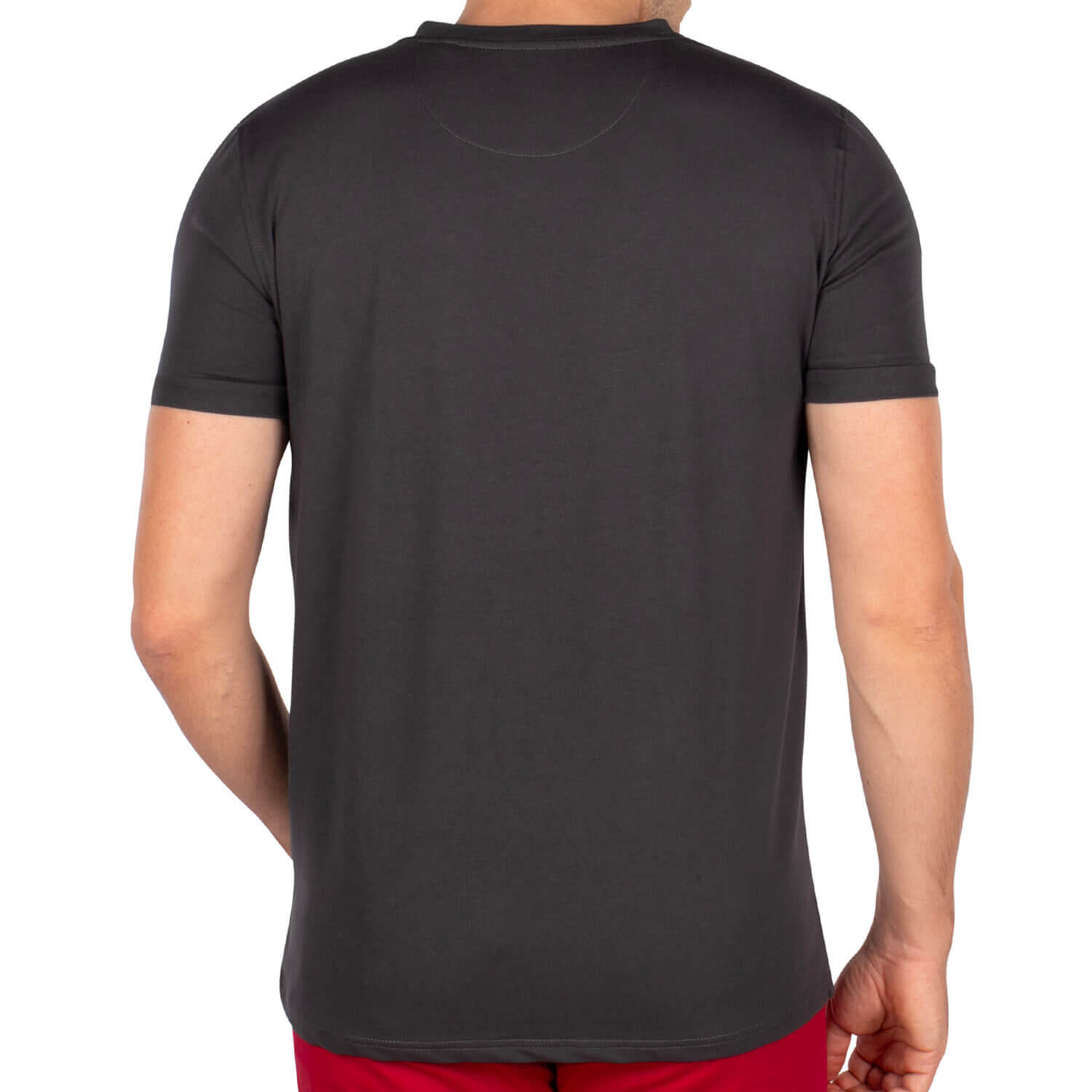 T-shirt col v basic homme 2/4