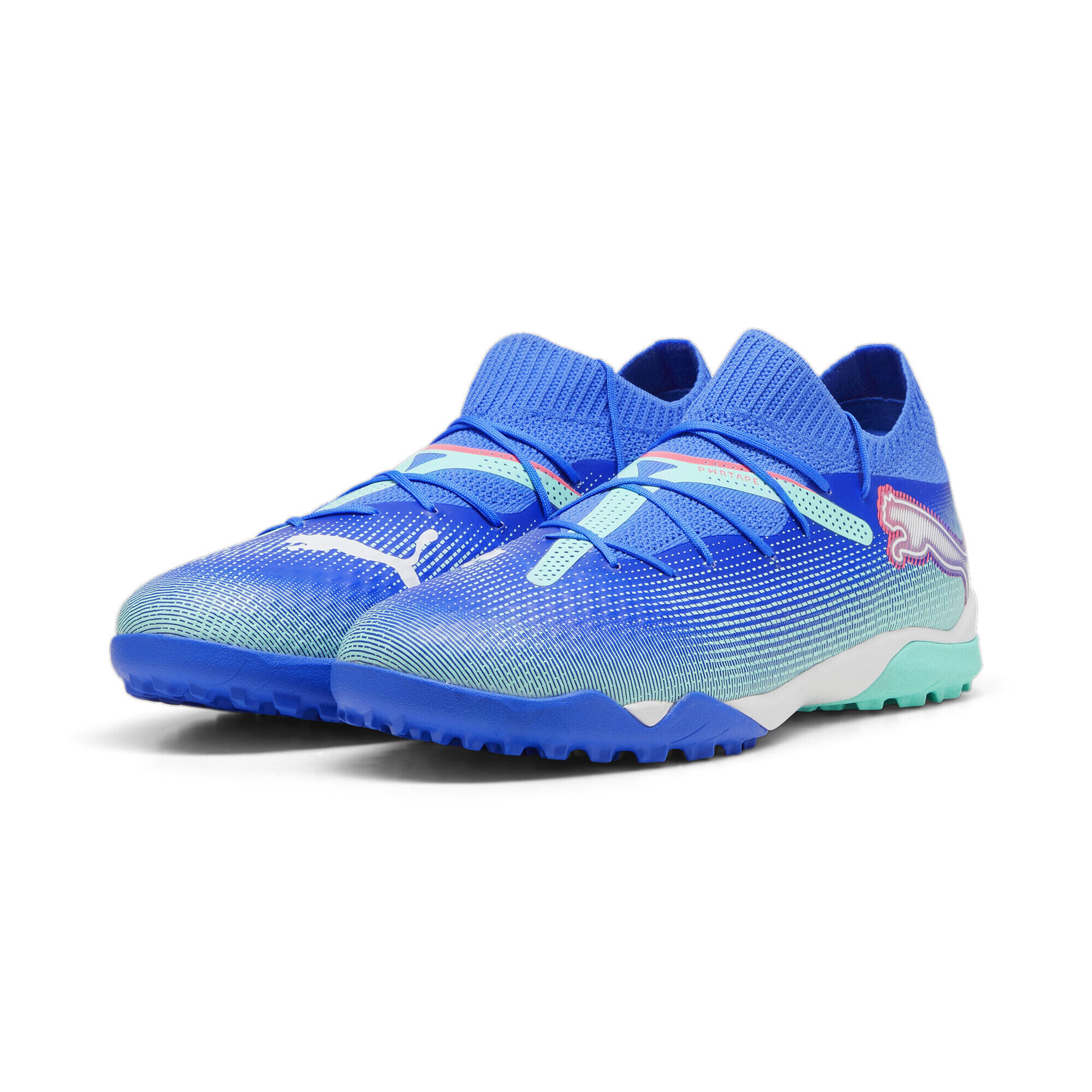 PUMA picture
