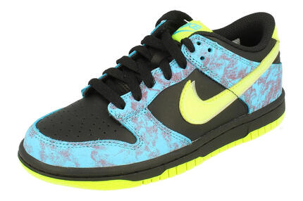 Nike Dunk Low Acid Wash