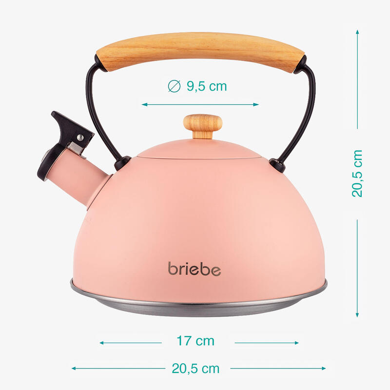 Bouilloire en Acier Inoxydable 2,3 Litres, Théière à Sifflet Poignée Bois briebe