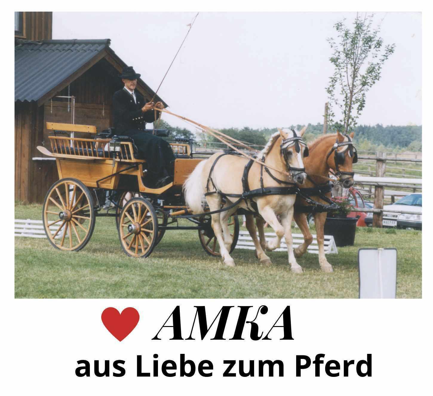 AMKA Zweispännerleine 4/4