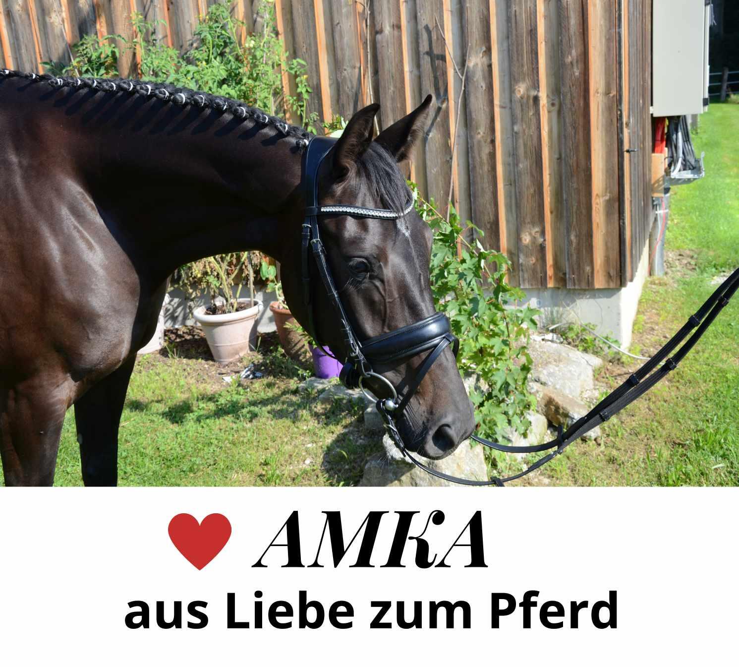 AMKA Mähnenverziehmesser 4/4