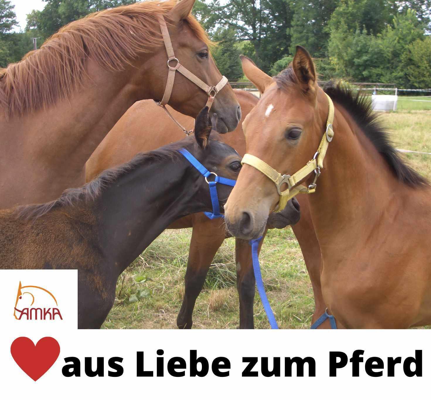 AMKA Gummitrense 2/4