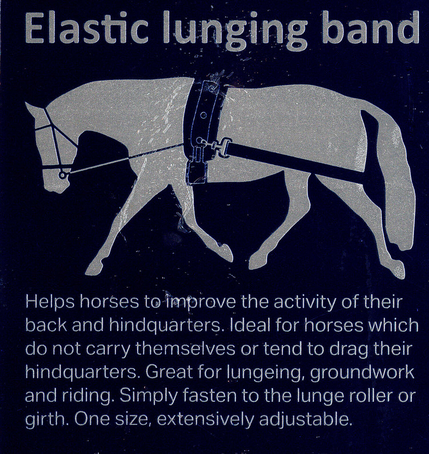 Harry`s Horse Longierband 2/4