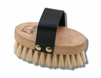 AMKA Classic Glanzbürste Schmusebürste Kardätsche Ziegenhaar Holzrücken