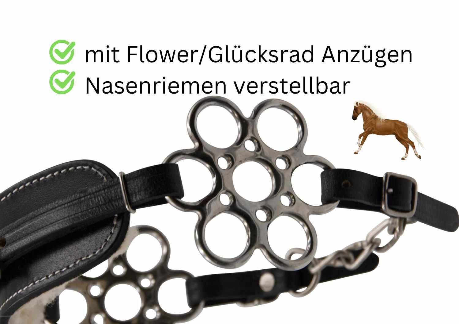 AMKA Hackamore Flora 4/4