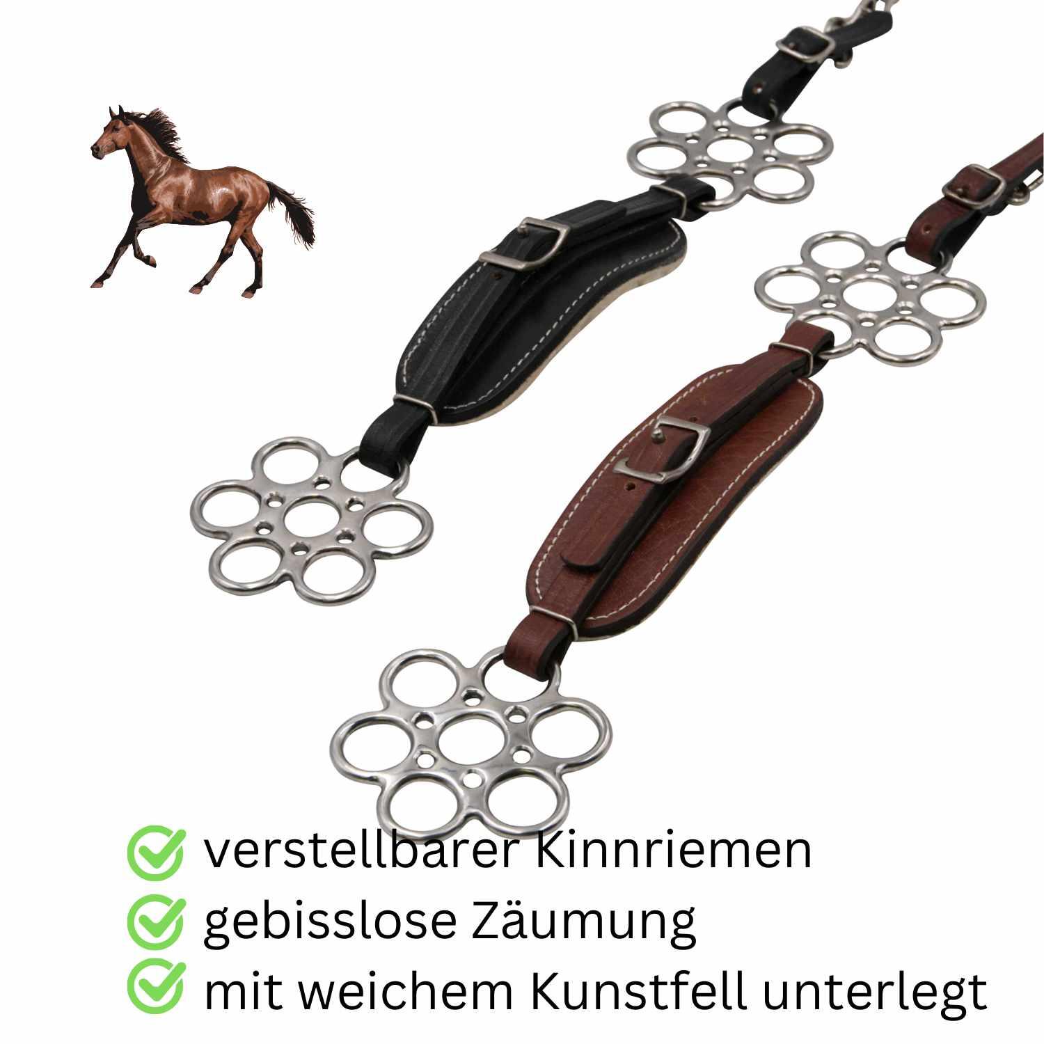AMKA Hackamore Flora 3/4