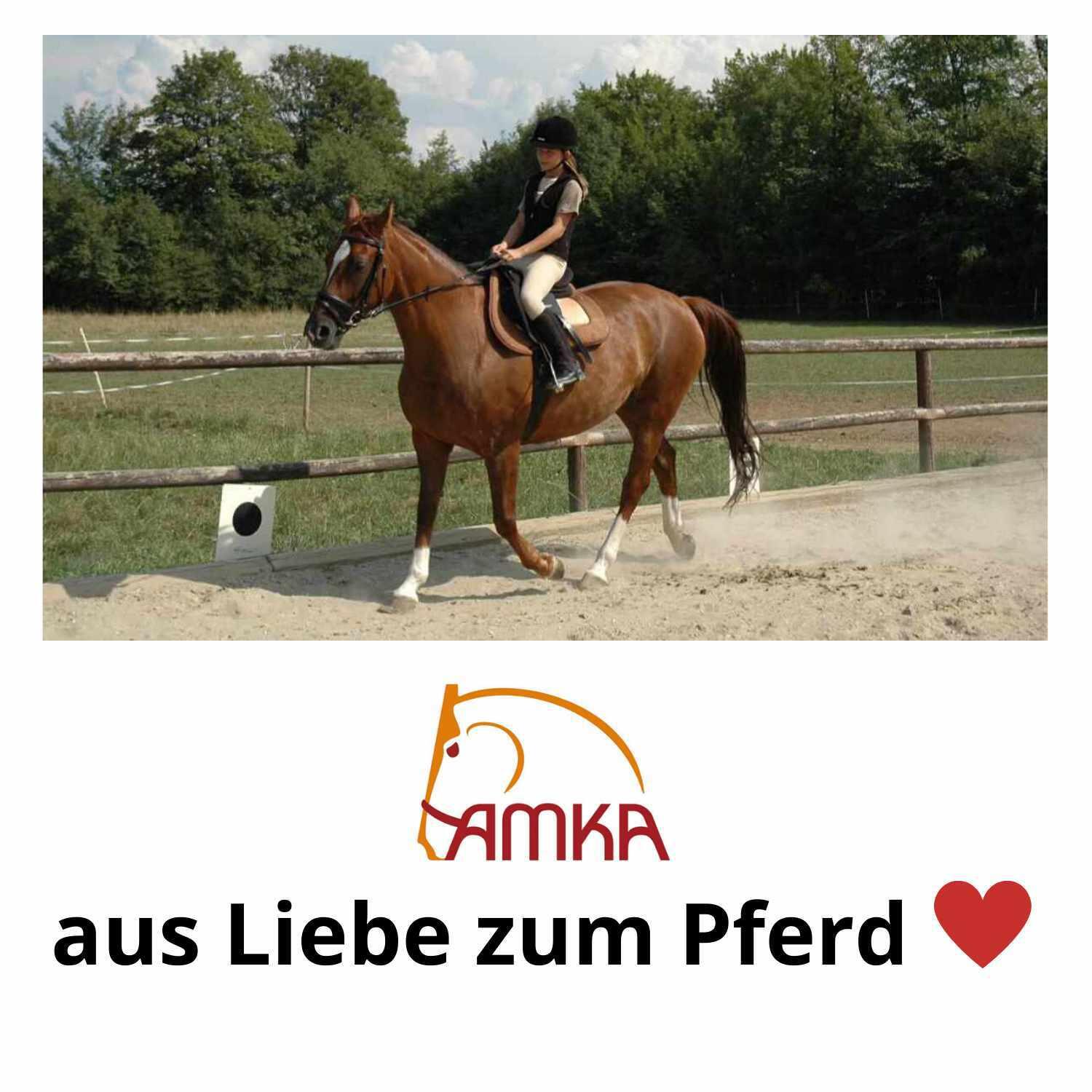 AMKA Aluminium Steigbügel ALU 4/4