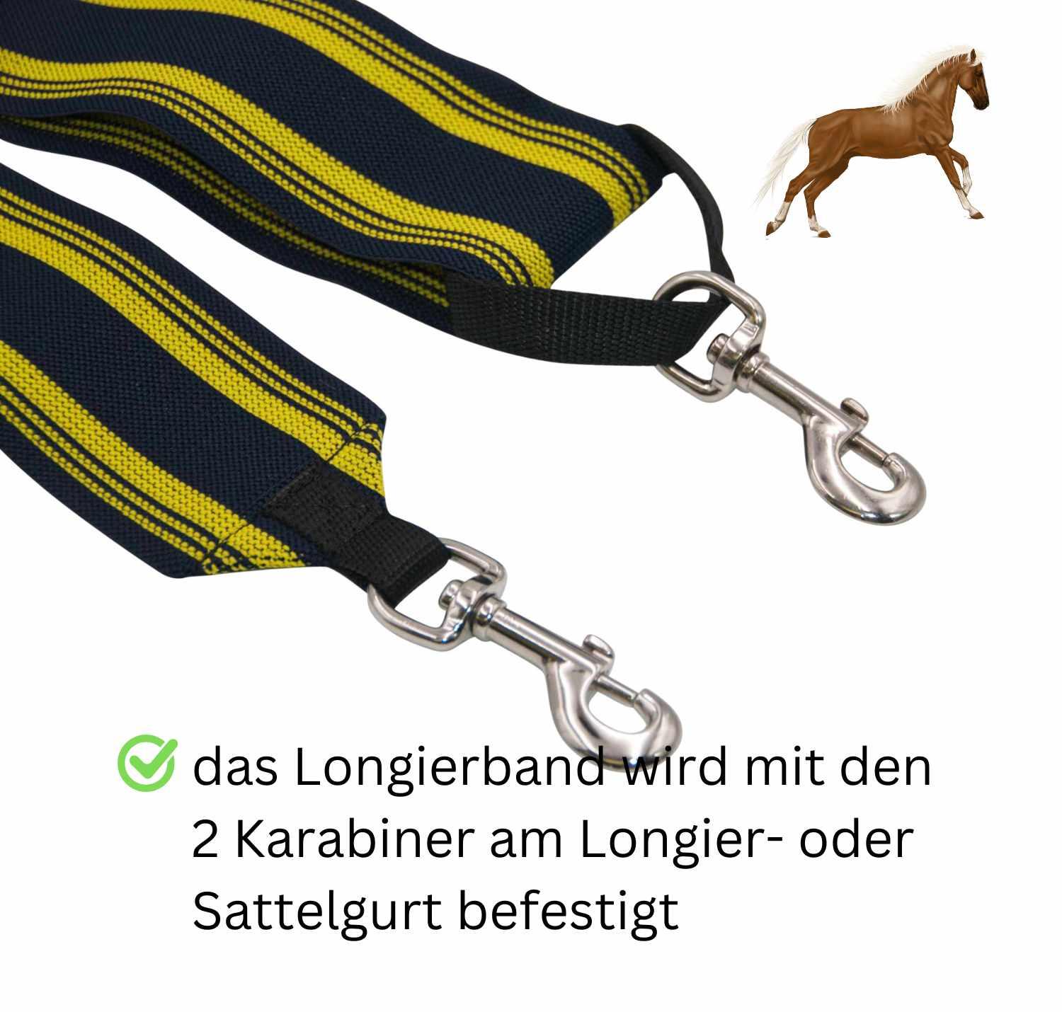 AMKA Longierband 3/4