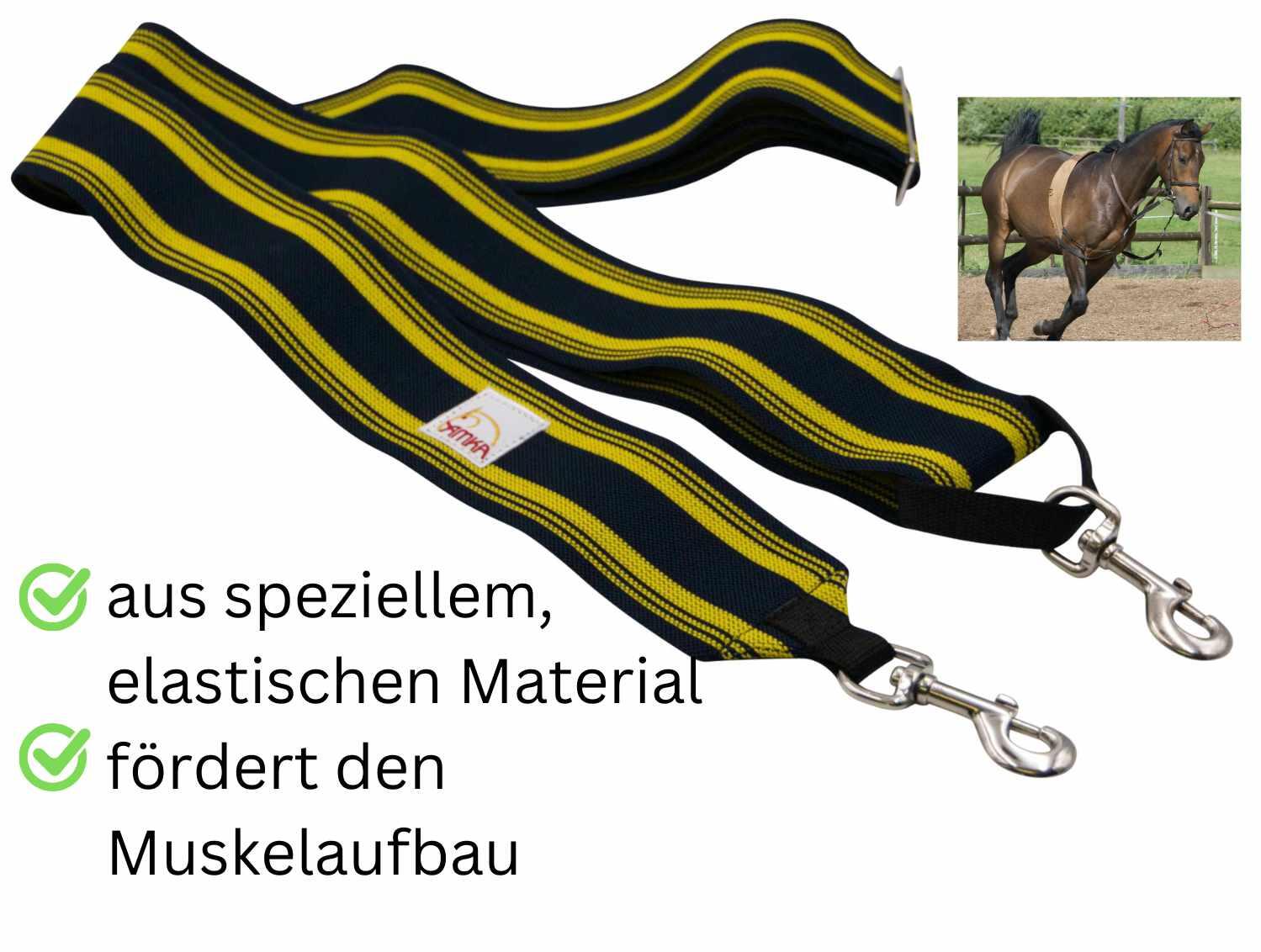 AMKA Longierband 4/4