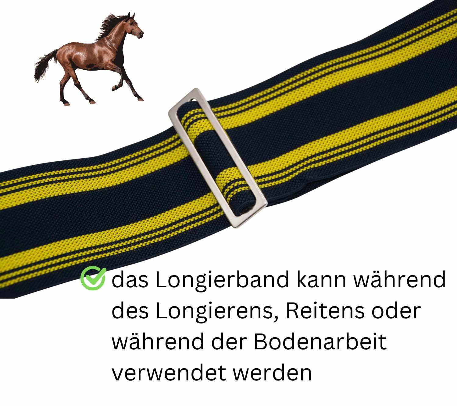 AMKA Longierband 2/4