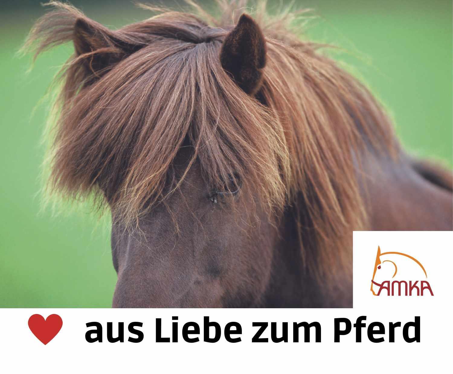 AMKA Isländersteigbügel 4/4