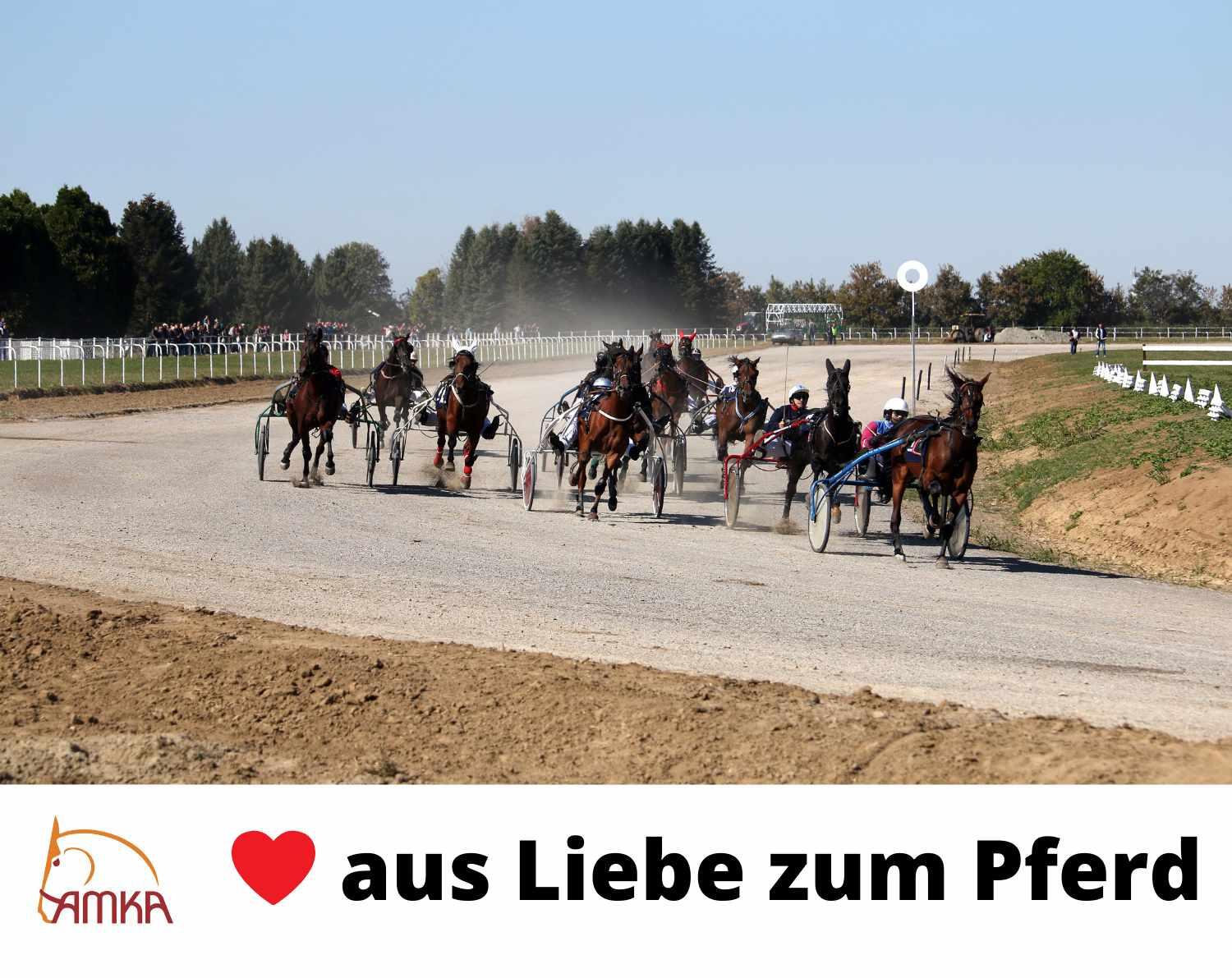 AMKA Oberschecktrense 4/4
