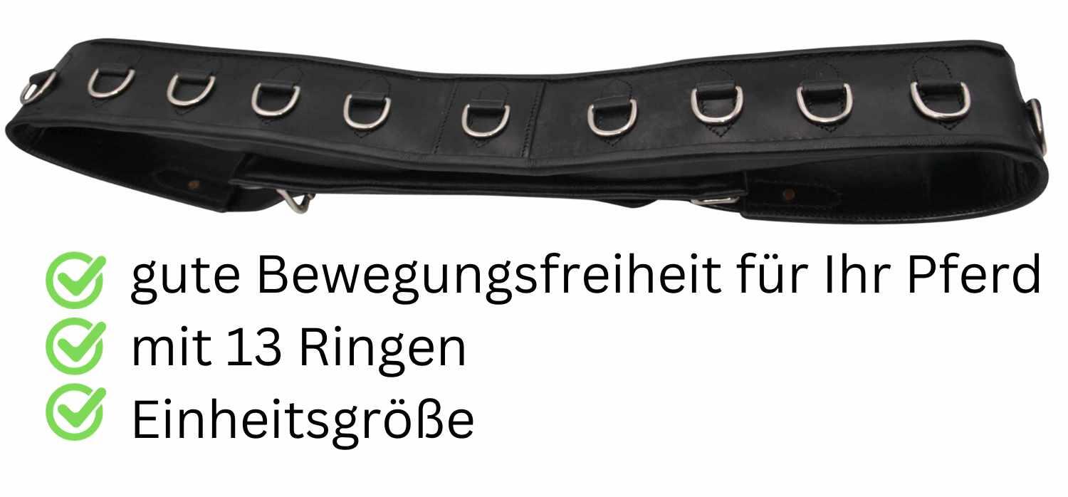 AMKA Pro Longiergurt 4/4