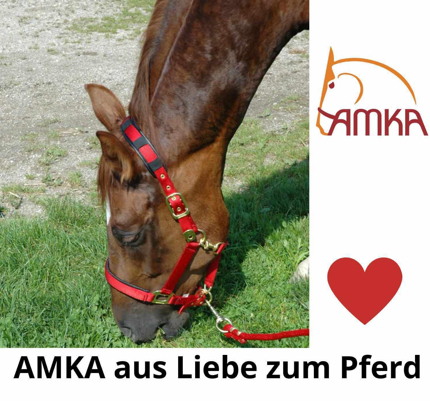 AMKA Panikhaken 4/4