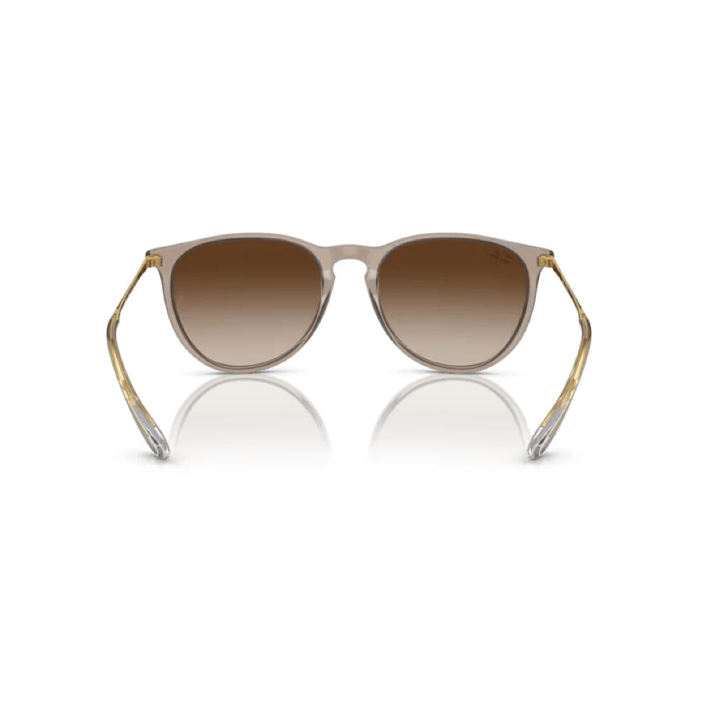 Ray-Ban Round Womens Transparent Light Brown Brown Gradient RB4171 Erika 4/6