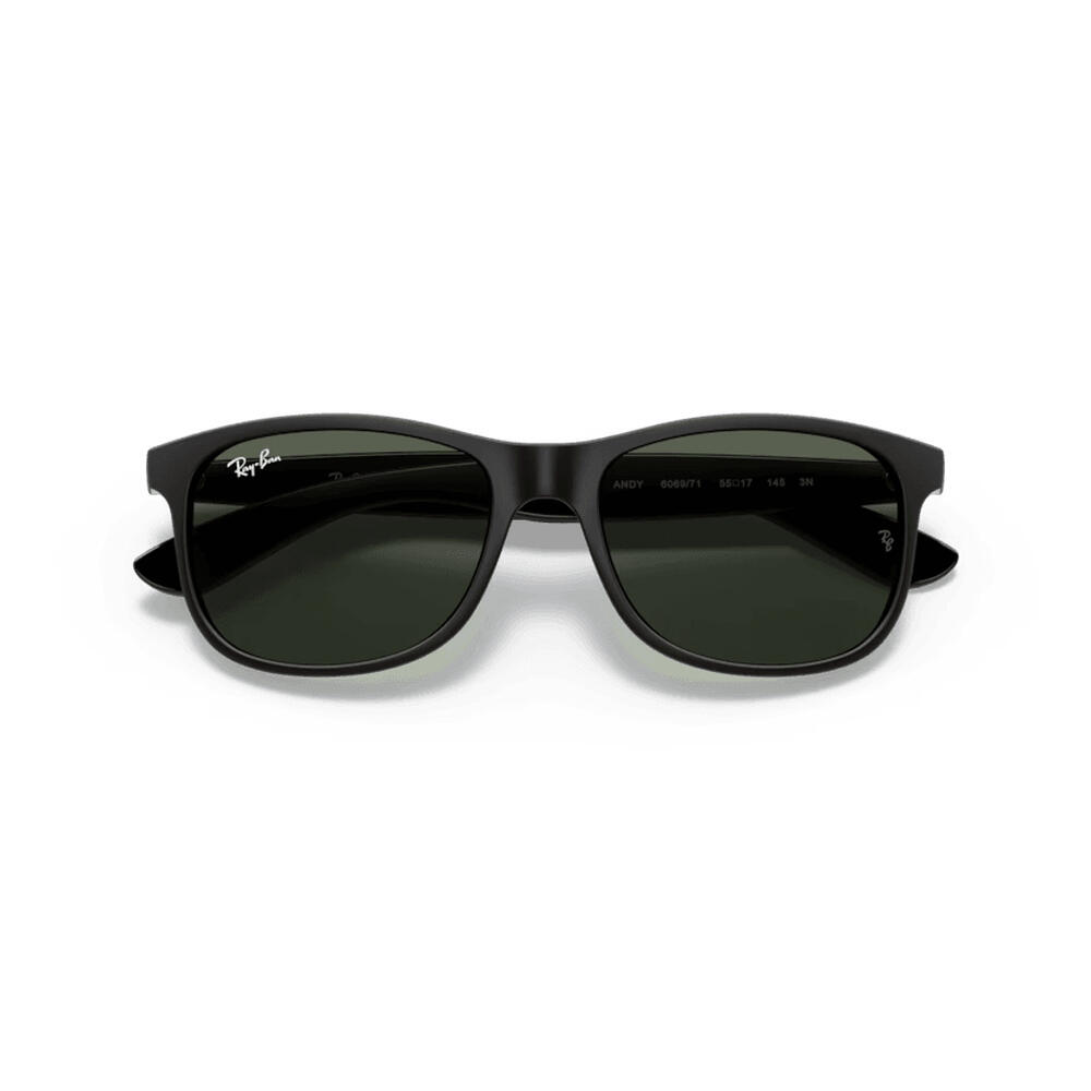 Lunettes de soleil Ray Ban RB4202 Andy noires 5/6