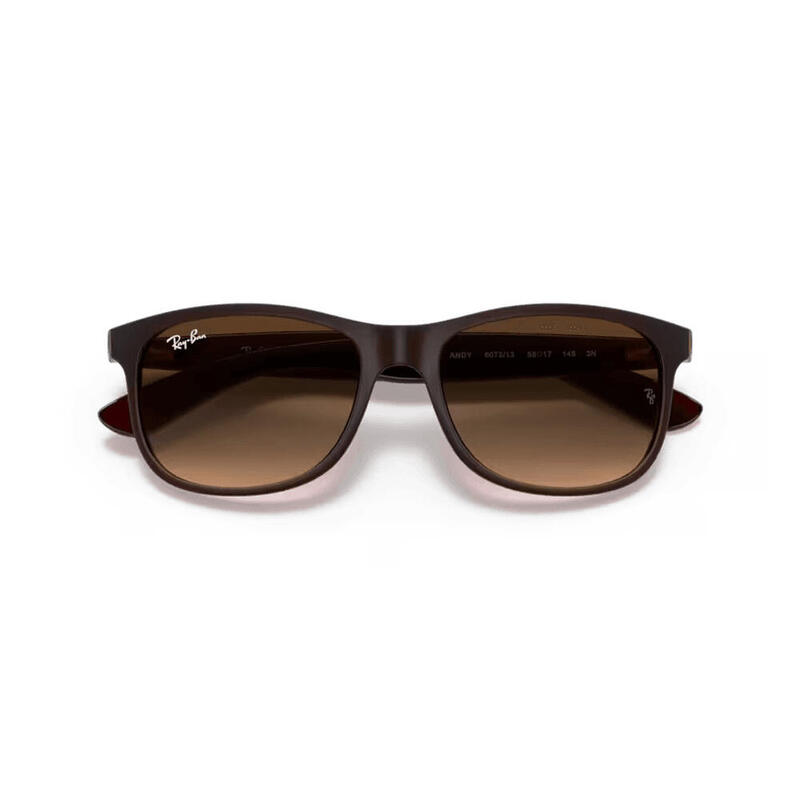 Gafas de Sol Ray Ban RB4202 Andy color marron