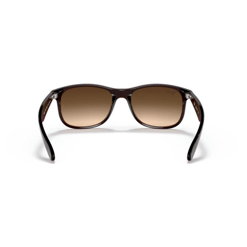 Gafas de Sol Ray Ban RB4202 Andy color marron