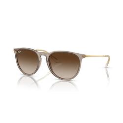 Ray Ban RB4171 Erika bruine zonnebril