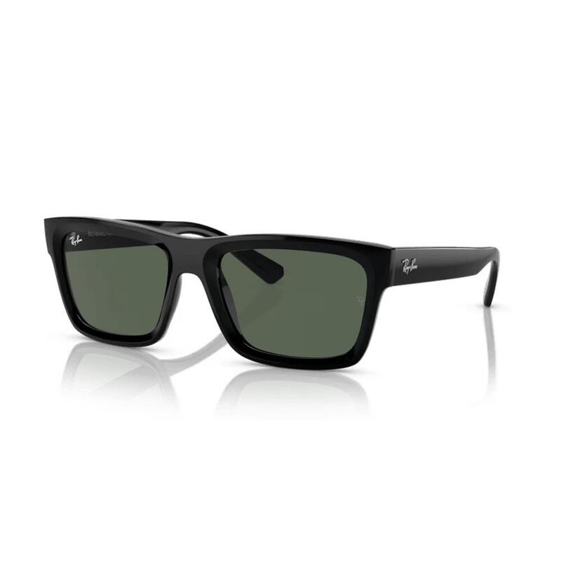 Gafas de Sol Ray Ban RB4396 Warren color negro