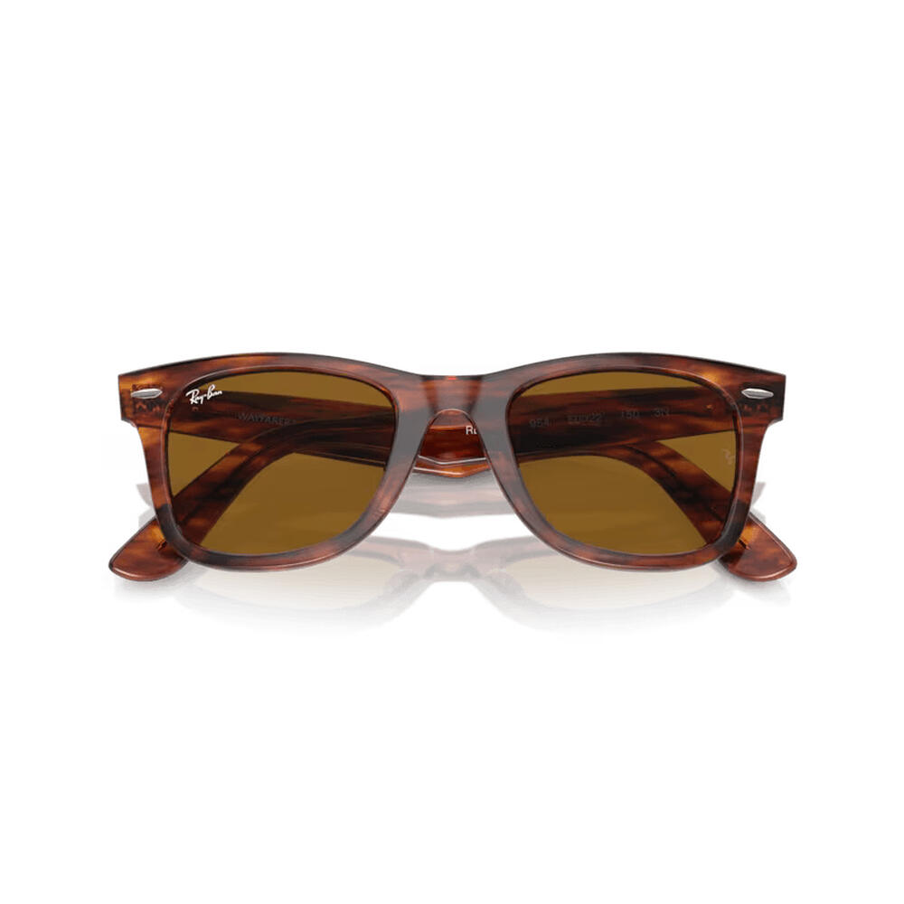 Unisex - Sunglasses - Timeless - WAYFARER - copper brown 5/7