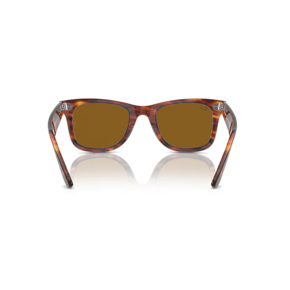 Unisex - Sunglasses - Timeless - WAYFARER - copper brown 4/7