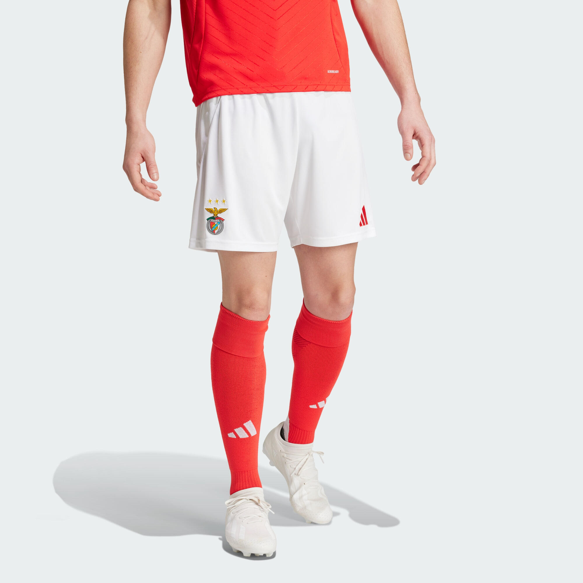 ADIDAS Benfica 24/25 Home Shorts
