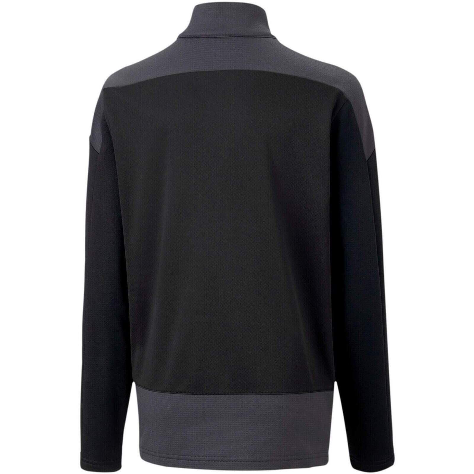Training top Puma Teamgoal 2/2