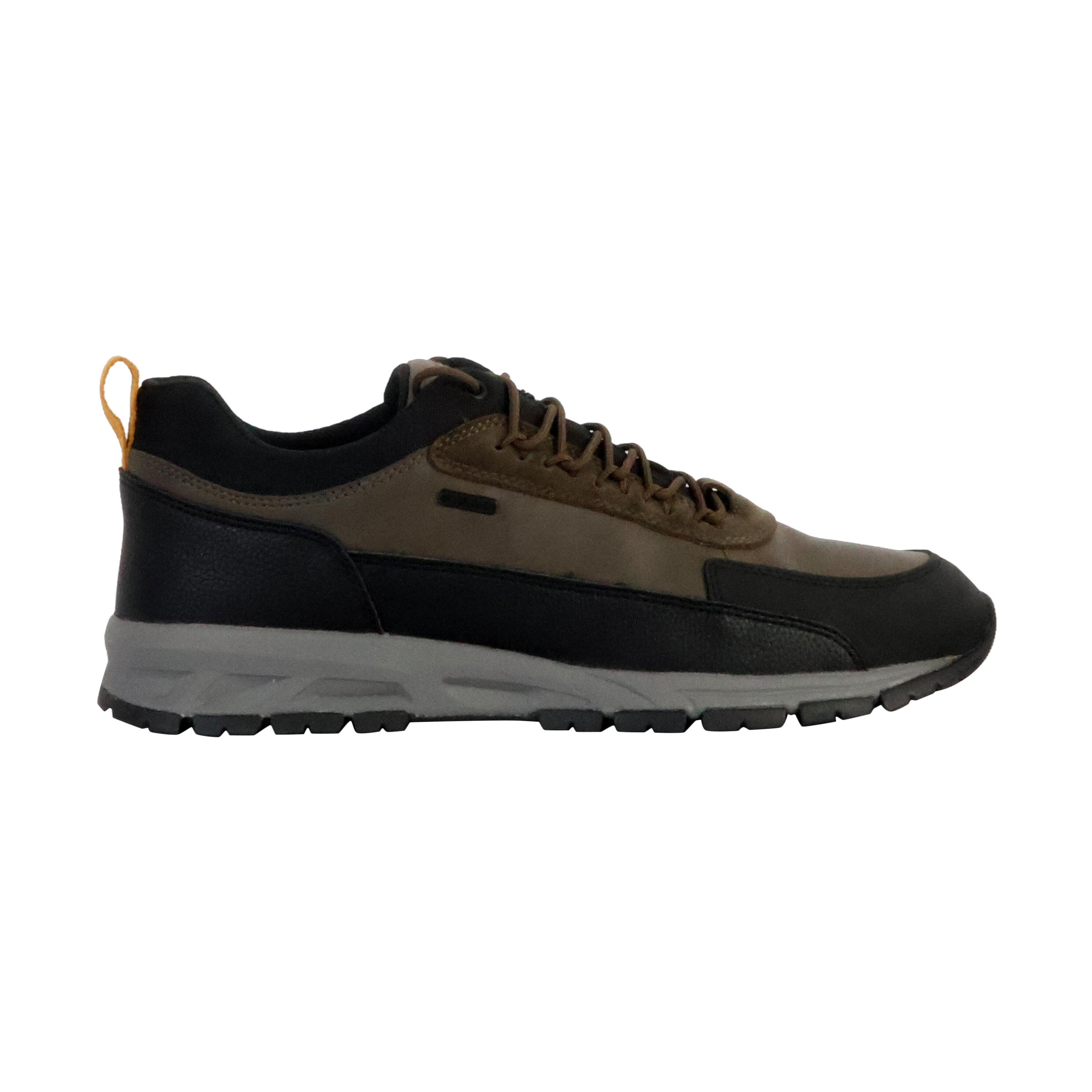 Baskets Homme Baskets Geox U DELRAY B ABX B Vert Vert Geox 2/6