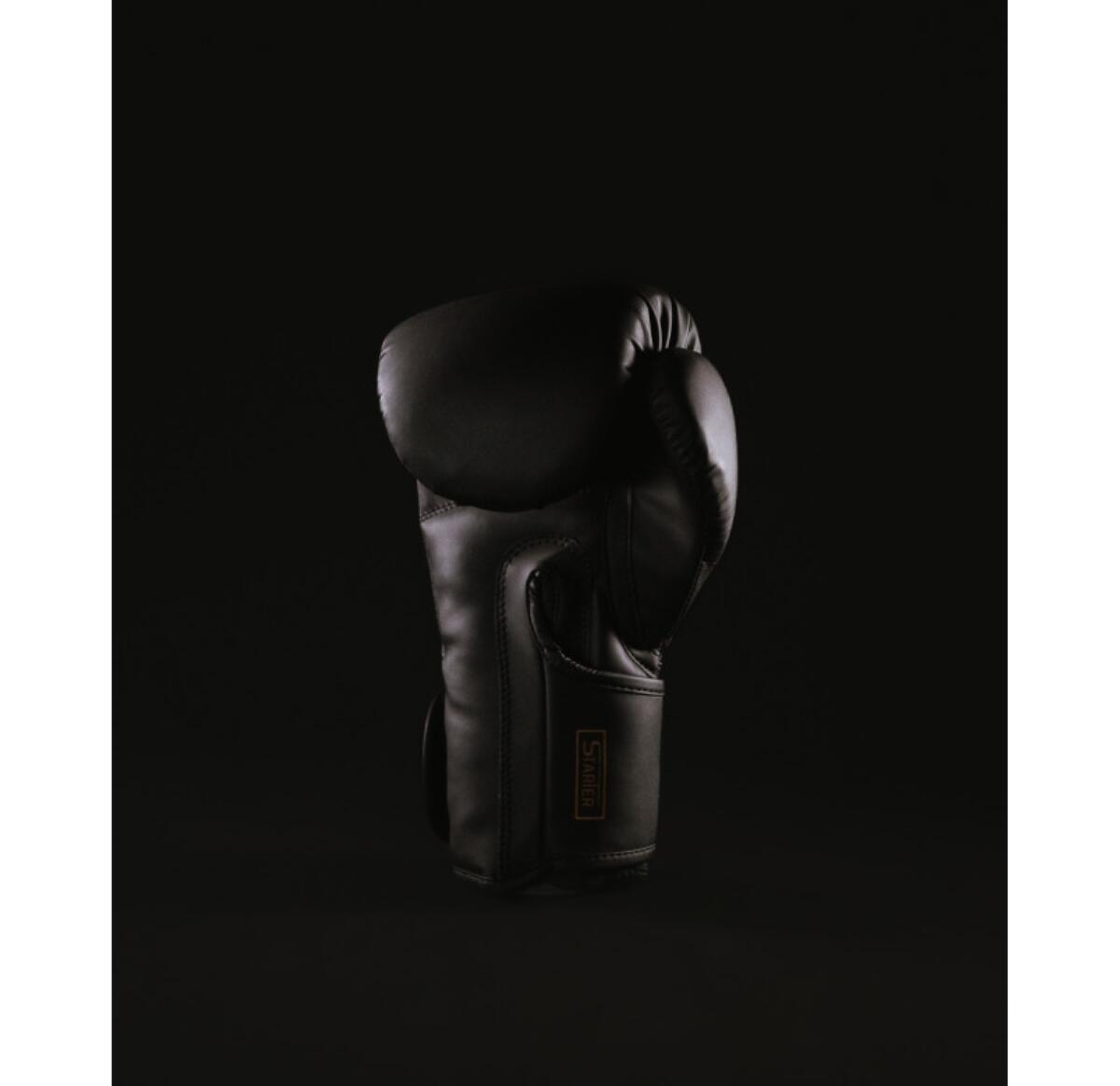 Boxing Gloves Starter 3/5