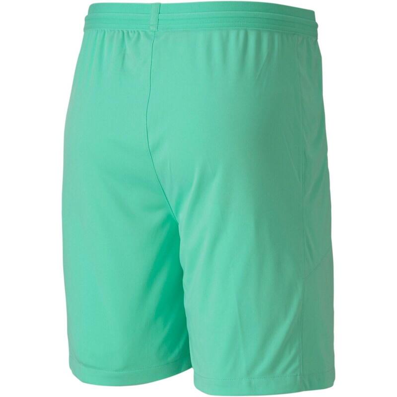 Pantaloni scurti barbati Puma Teamfinal 21 Knit Shorts, Verde