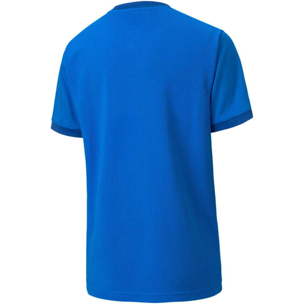 Koszulka dla dzieci Puma teamGOAL 23 Jersey