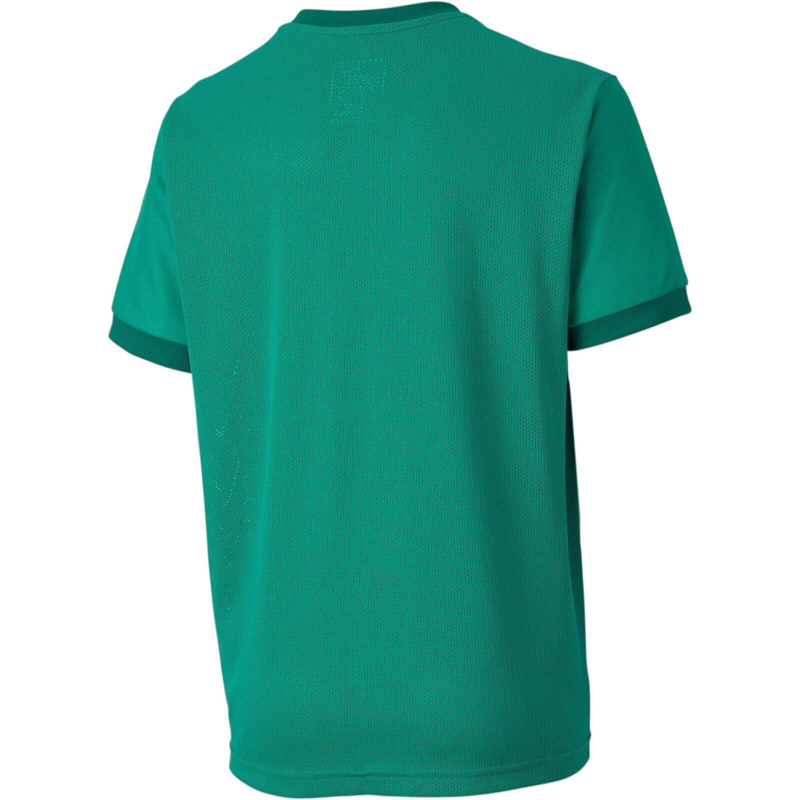 Camiseta Puma Teamgoal 23 Jersey Jr, Verde, Niños 2/4