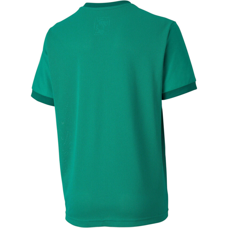 Podkoszulek Puma Teamgoal 23 Jersey Jr, Dzieci