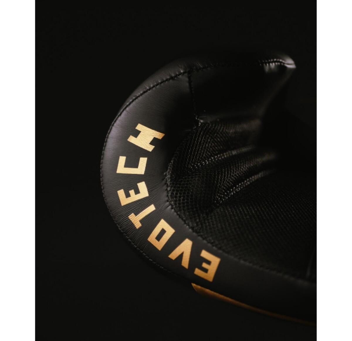 Gants de Boxe EV1 Compétition 5/6