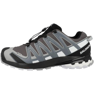 Laufschuhe XA PRO 3D V8 GTX Herren