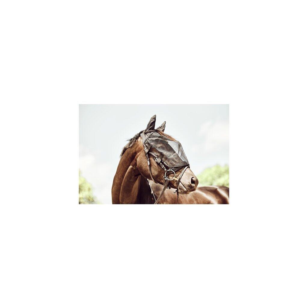 Maschera antimosche per cavalli per briglia HorseGuard 2/2