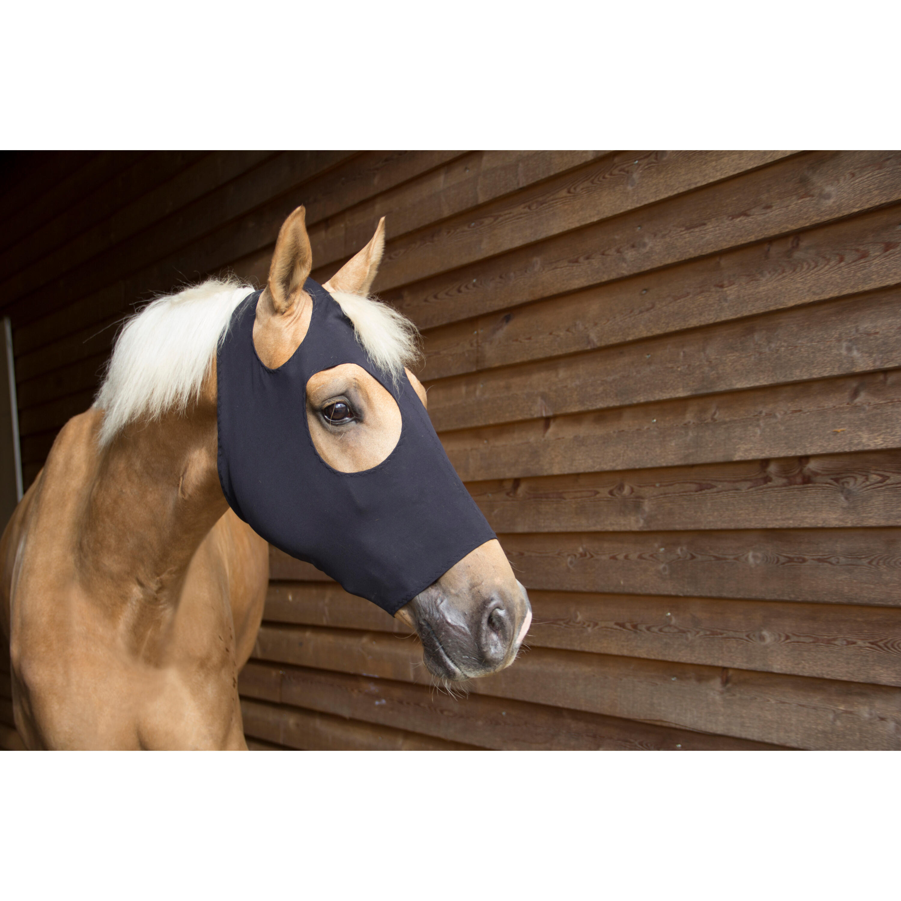 Máscara de caballo Catago FIR-Tech 2/2