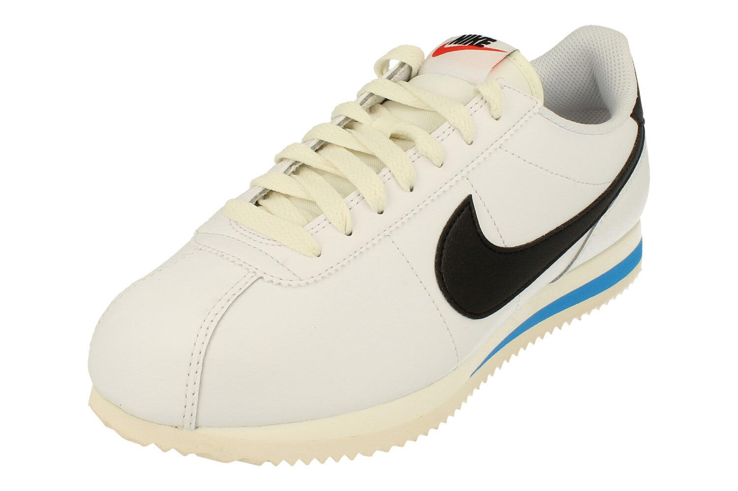 NIKE picture